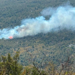 Požar kod Gruda, air tractor ne može pomoći zbog tehničkog kvara